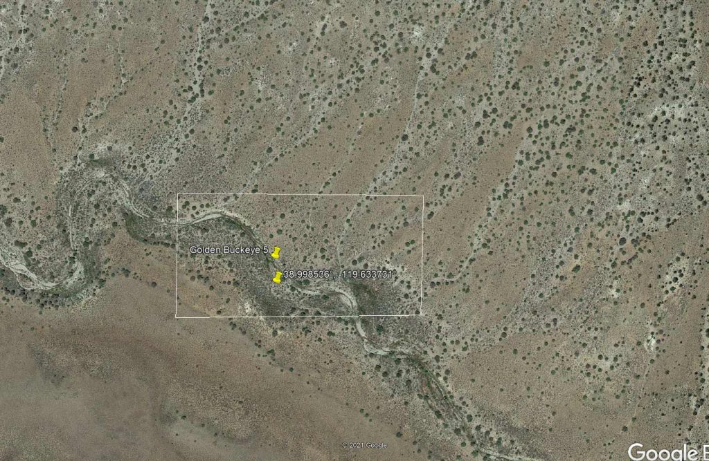 Golden Buckeye #1 & #2 — satellite view