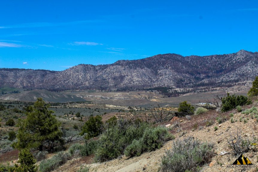 Taylor Mine