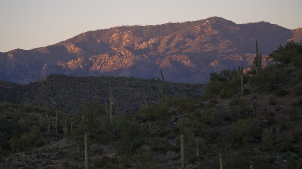 Bumblebee Gold #2 — Bradshaw Mountains Ranger Robb 1000X559