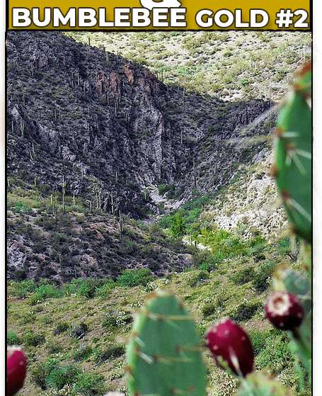 Bumblebee Gold #2 lode claim in Yavapai County, Arizona