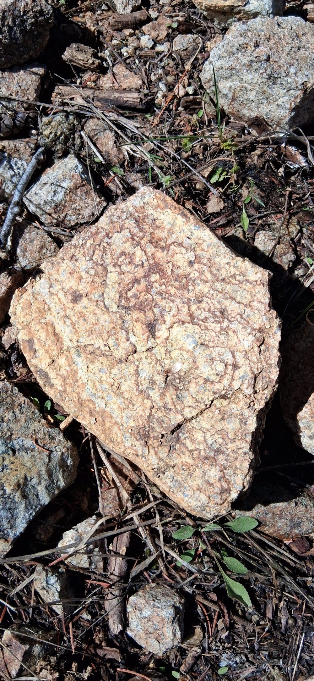 Boulder #2 & #3 — 20260319 134441 1000X2166