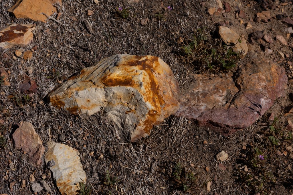 Boulder #2 & #3 — 61 6273 1024X683
