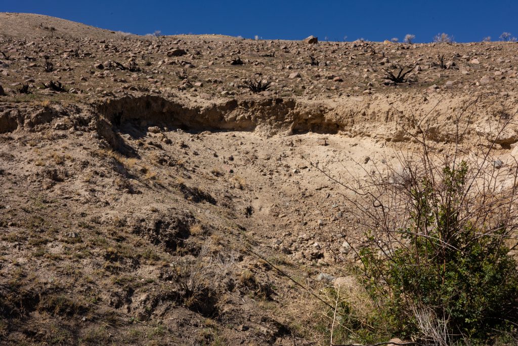 Boulder #2 & #3 — 61 6281 1024X683