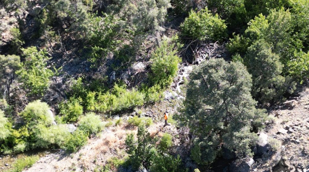 Sedona Legend #17 — Dji 0573 1000X559