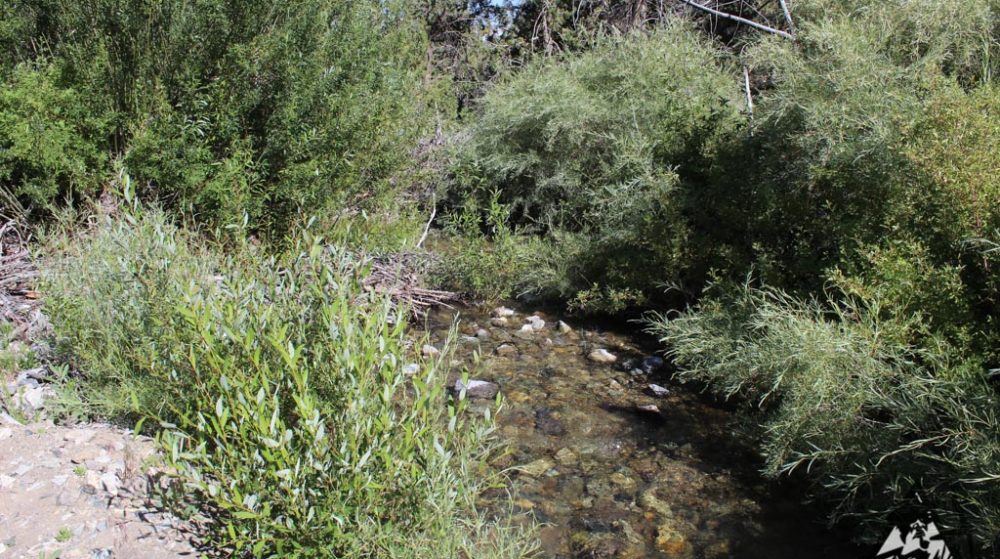 Sedona Legend #17 — Img 7658 1000X559