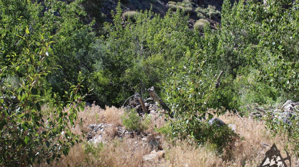 Sedona Legend #17 — Img 7674 1000X559