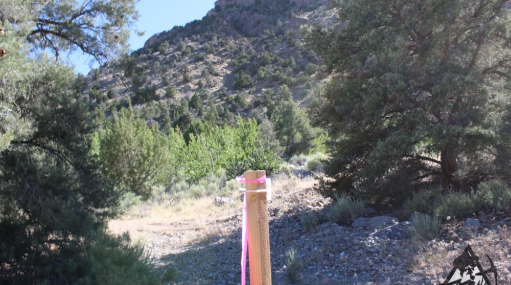 Sedona Legend #17 — Img 7682 1000X559