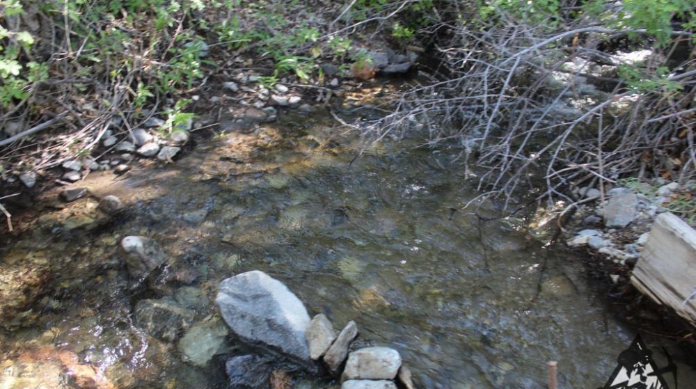 Sedona Legend #17 — Img 7687 1000X559