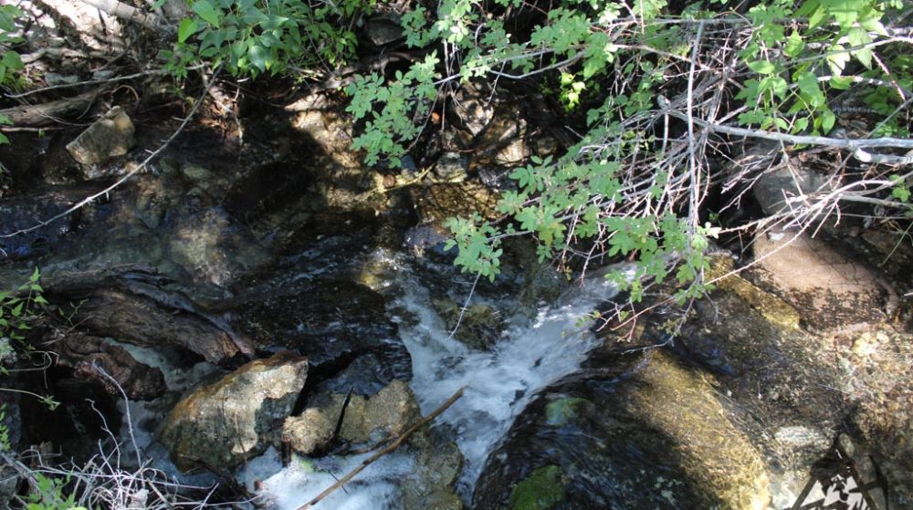 Sedona Legend #17 — Img 7690 1000X559