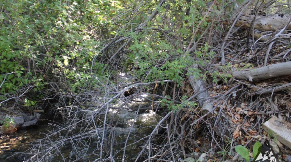 Sedona Legend #17 — Img 7691 1000X559