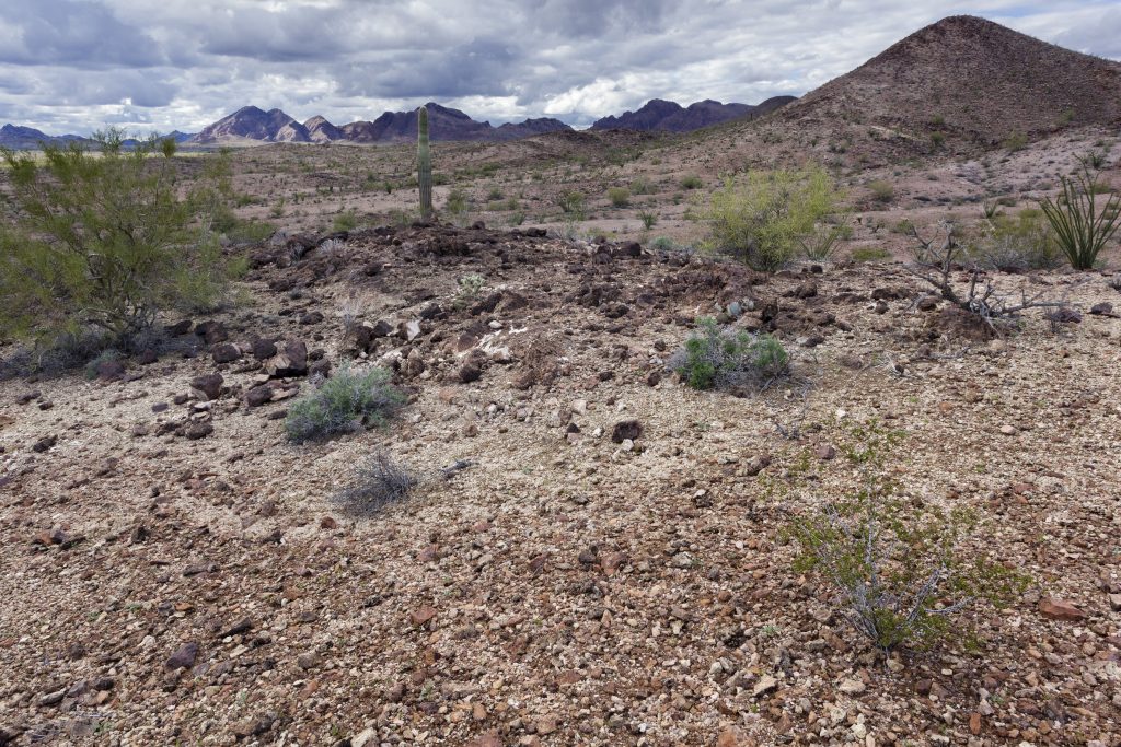 Arizona Bedrock Gold — Abg King2 1024X683