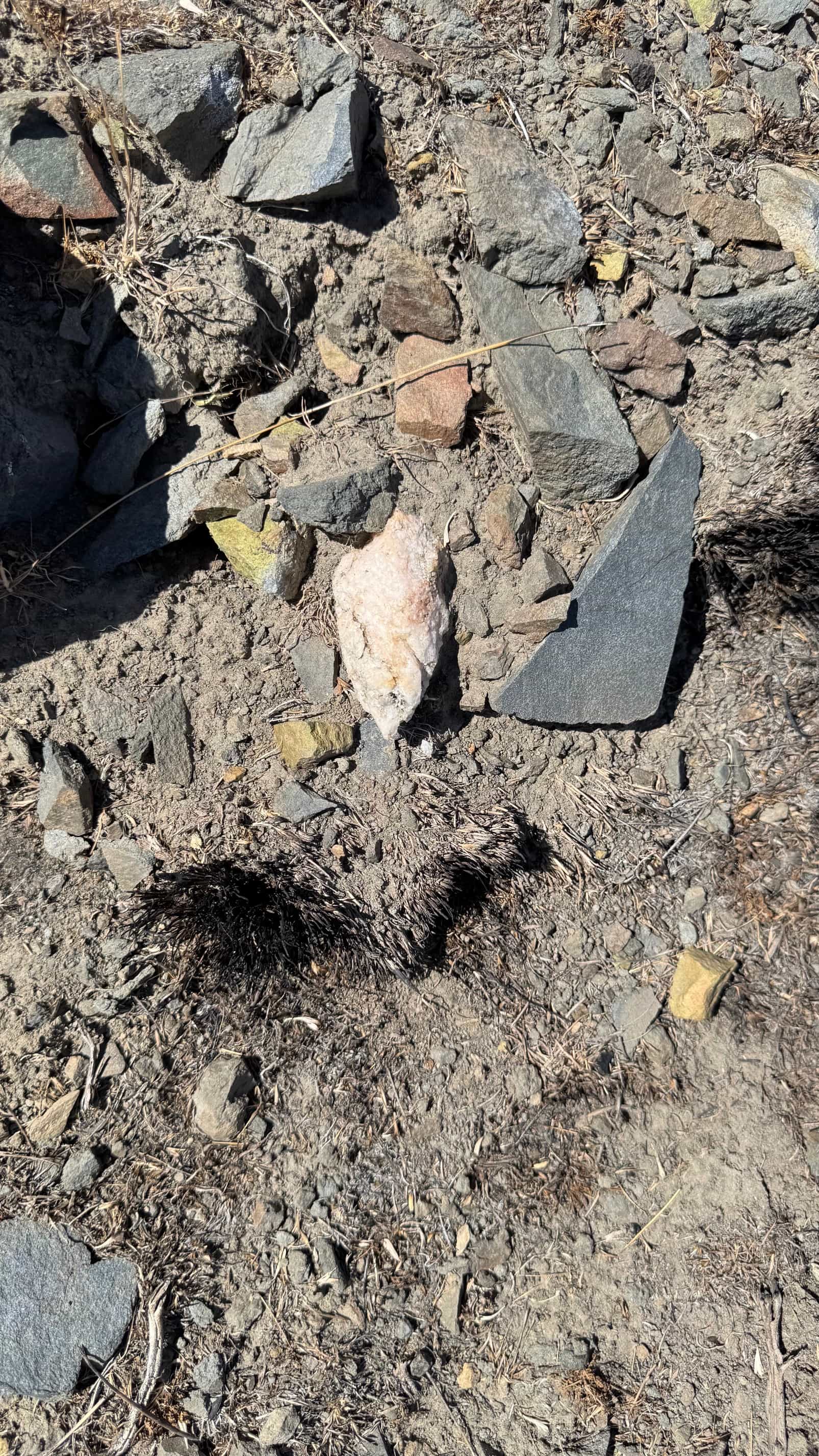 The Eureka Comstock Placer — site photograph image-62