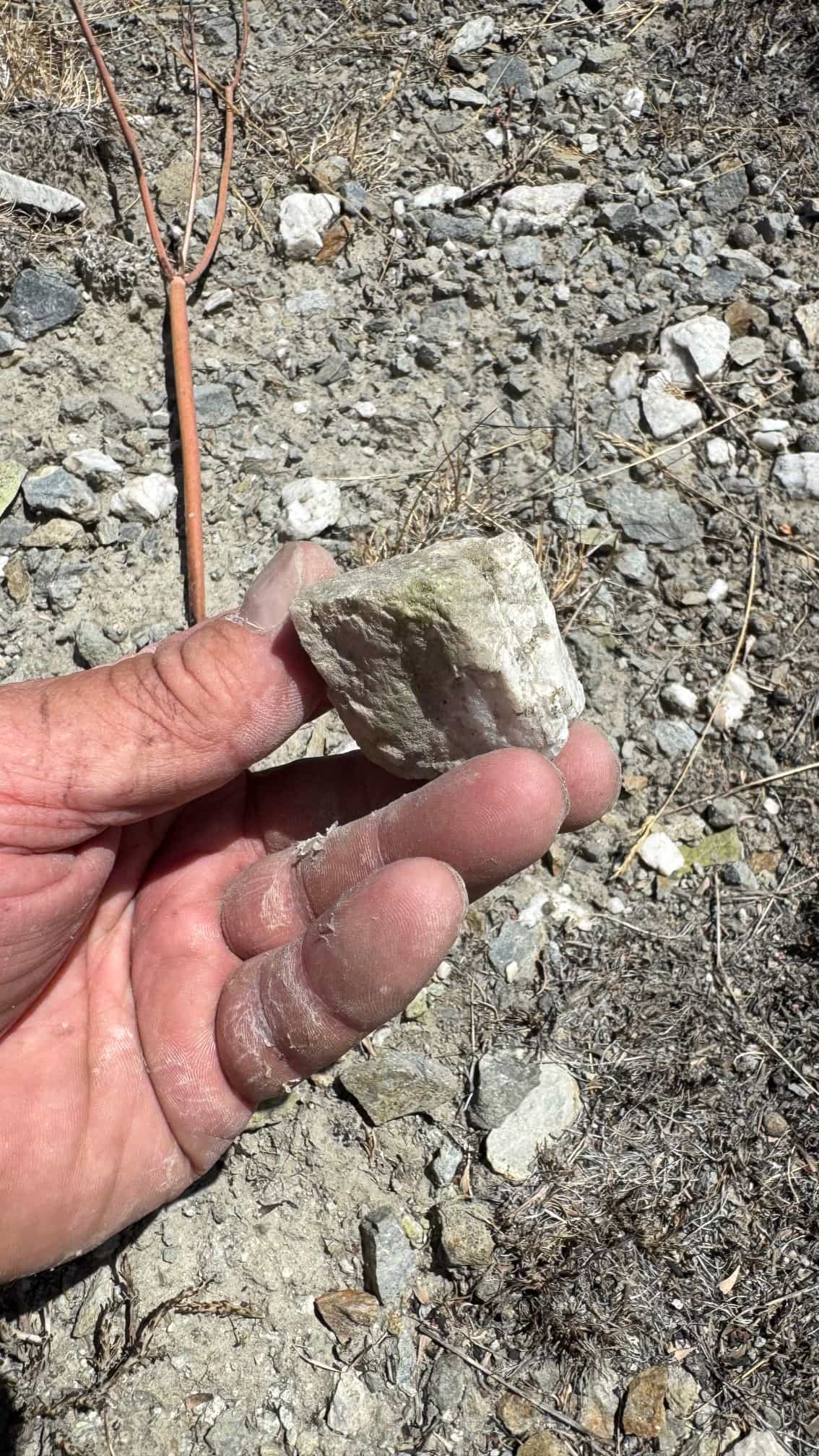 The Eureka Comstock Placer — site photograph image-64