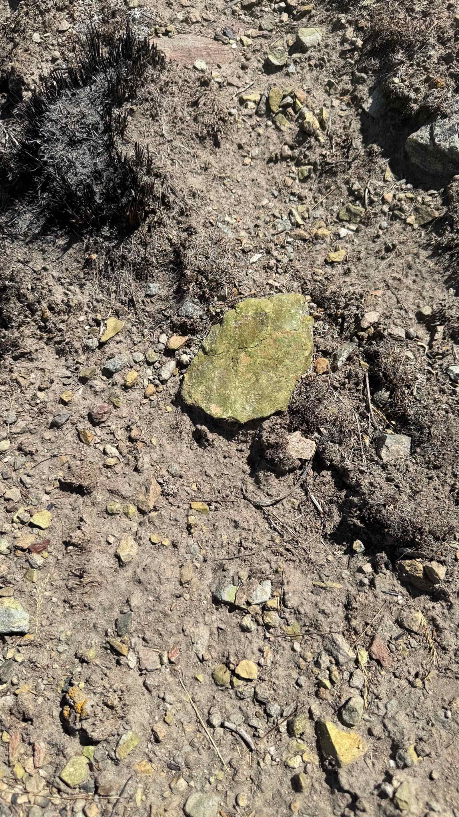 The Eureka Comstock Placer — site photograph unnamed-1