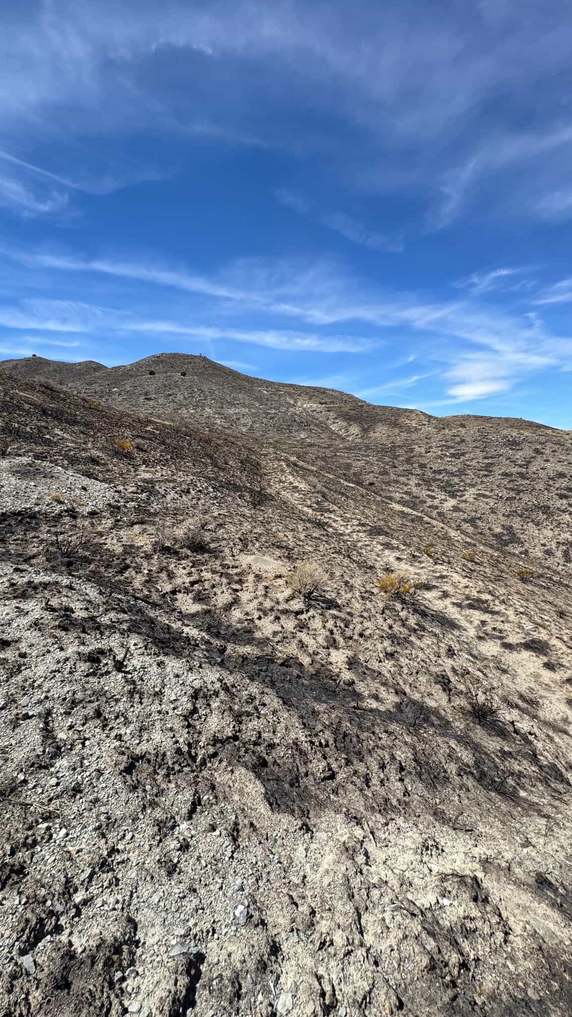 The Eureka Comstock Placer — site photograph unnamed-10
