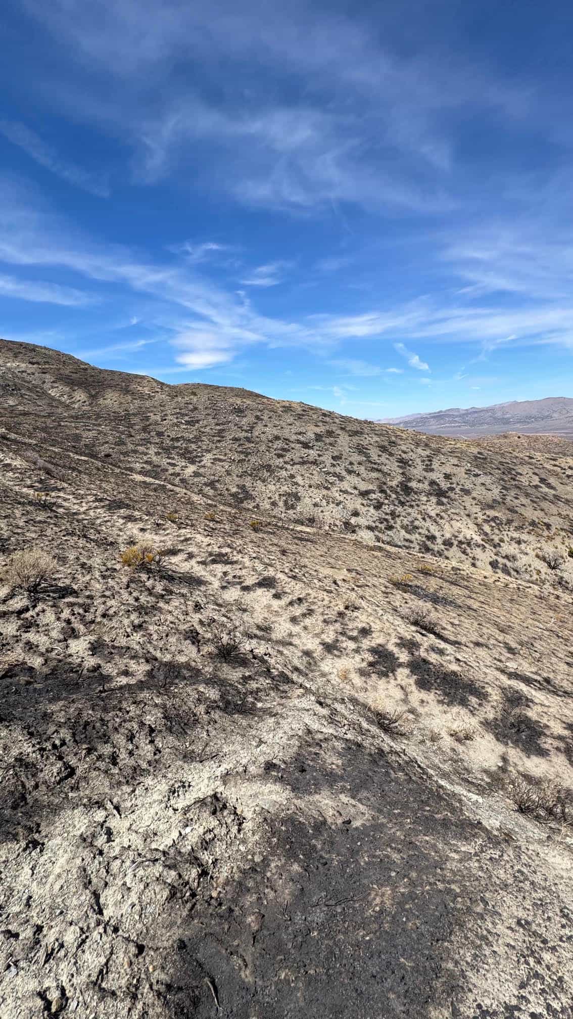 The Eureka Comstock Placer — site photograph unnamed-11