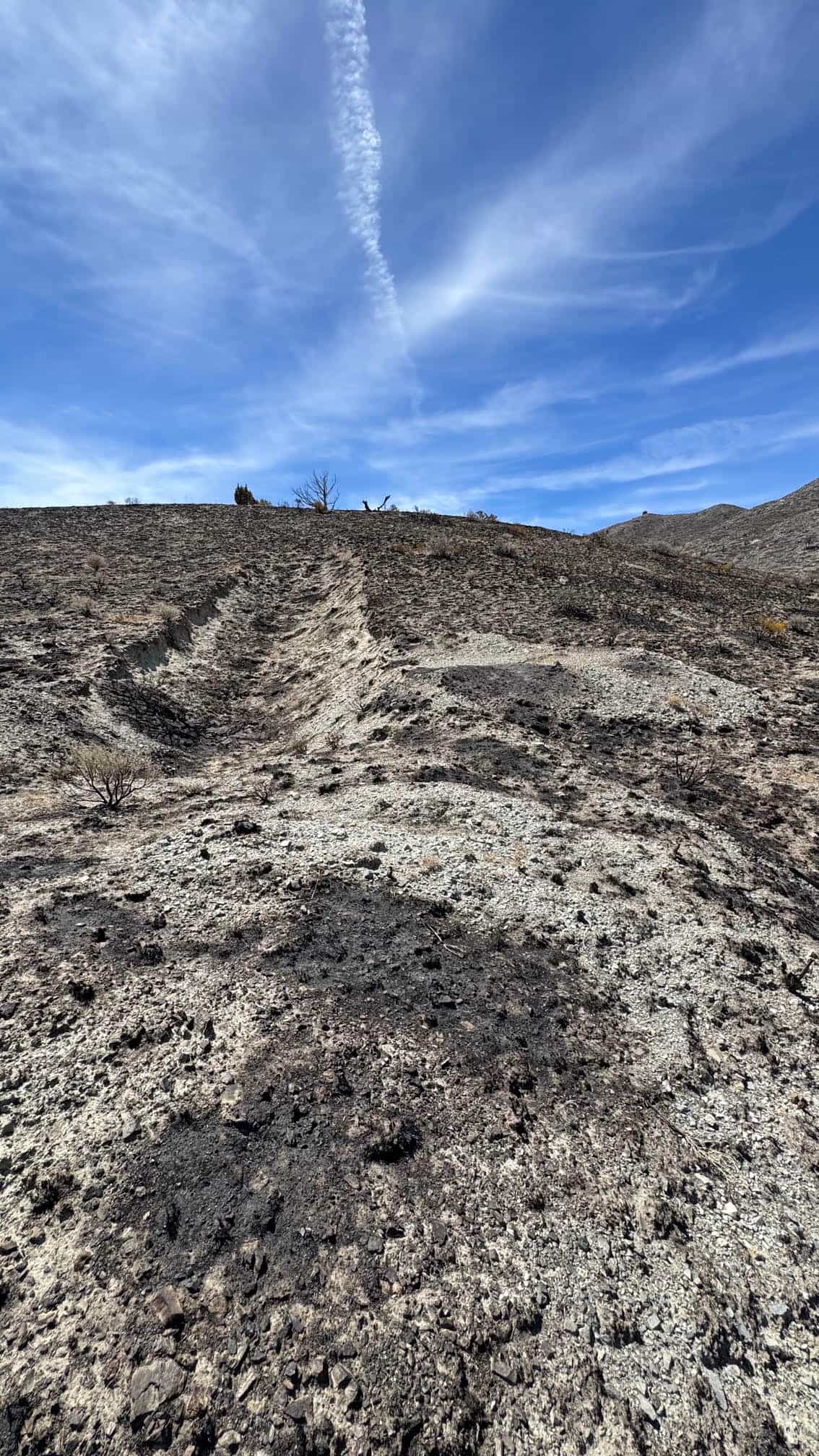The Eureka Comstock Placer — site photograph unnamed-12