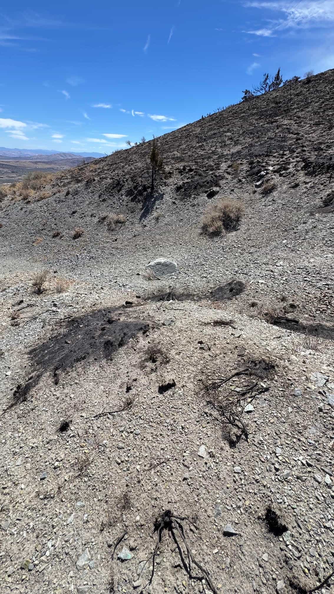 The Eureka Comstock Placer — site photograph unnamed-13