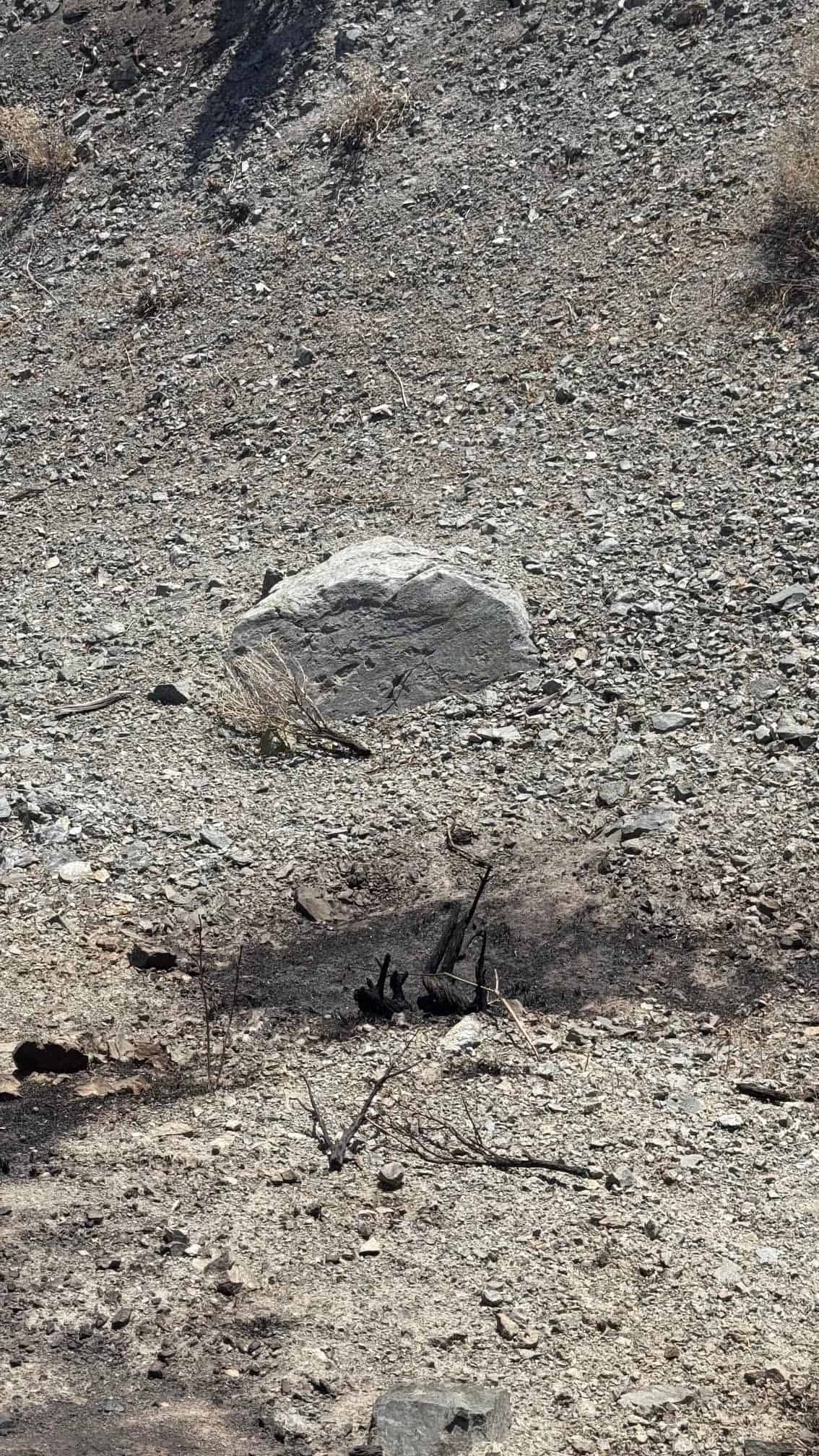 The Eureka Comstock Placer — site photograph unnamed-14