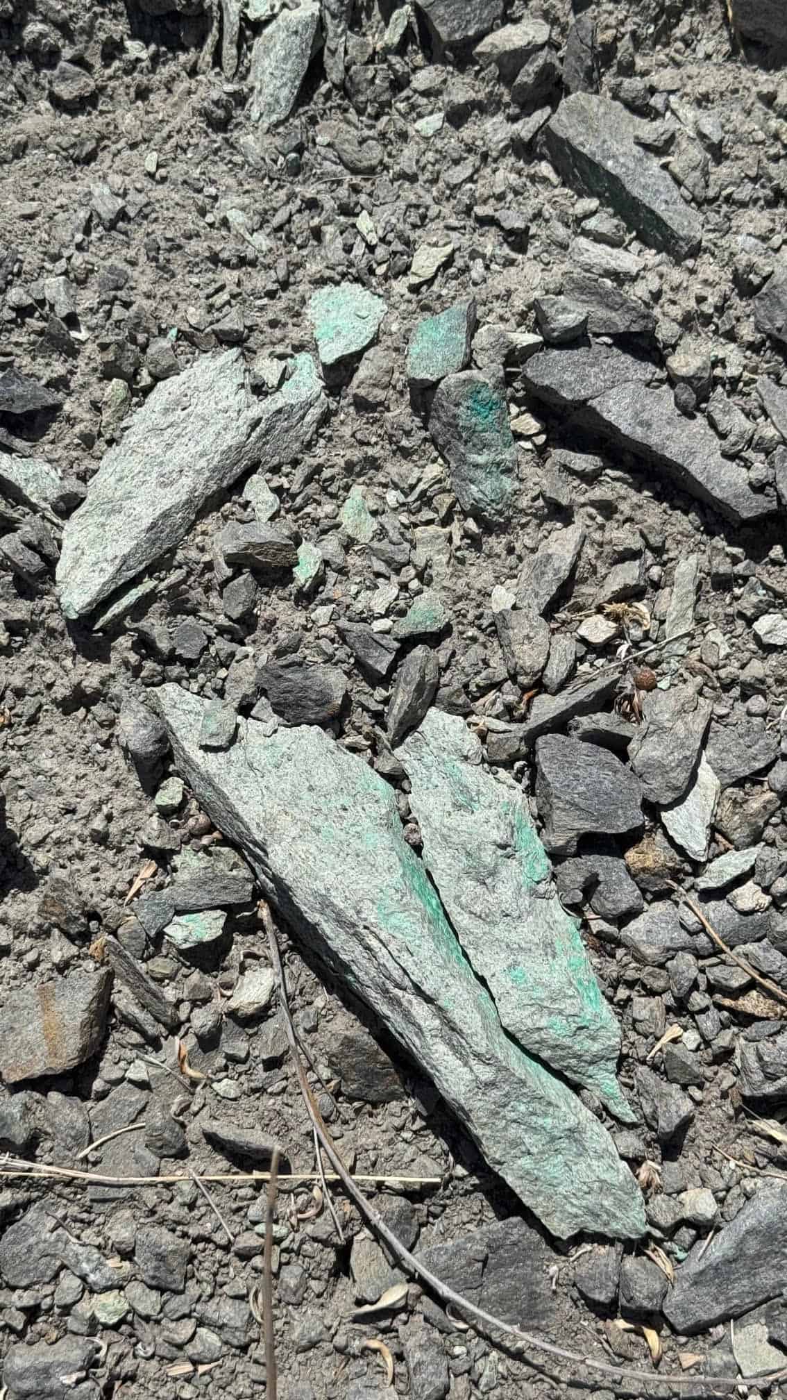 The Eureka Comstock Placer — site photograph unnamed-15