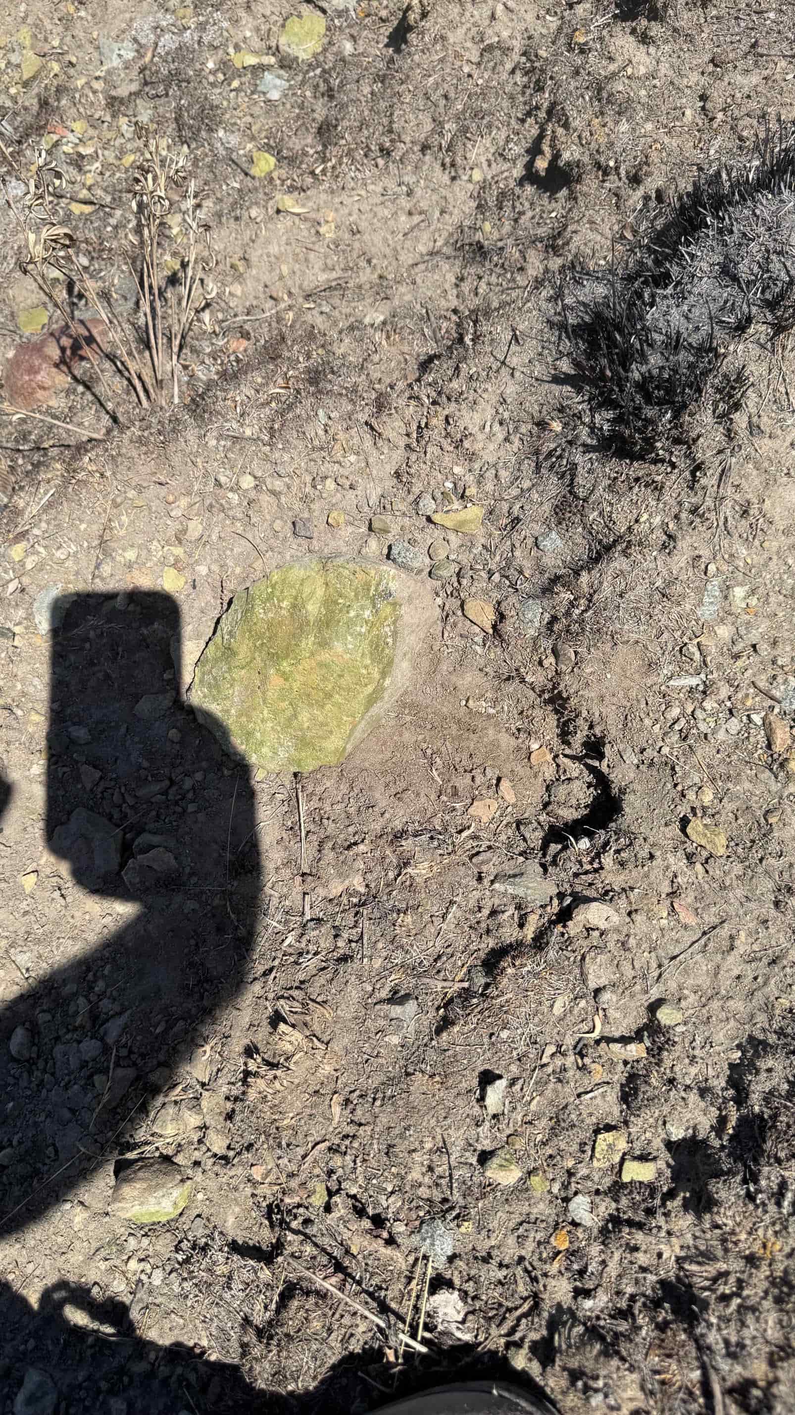 The Eureka Comstock Placer — site photograph unnamed-2