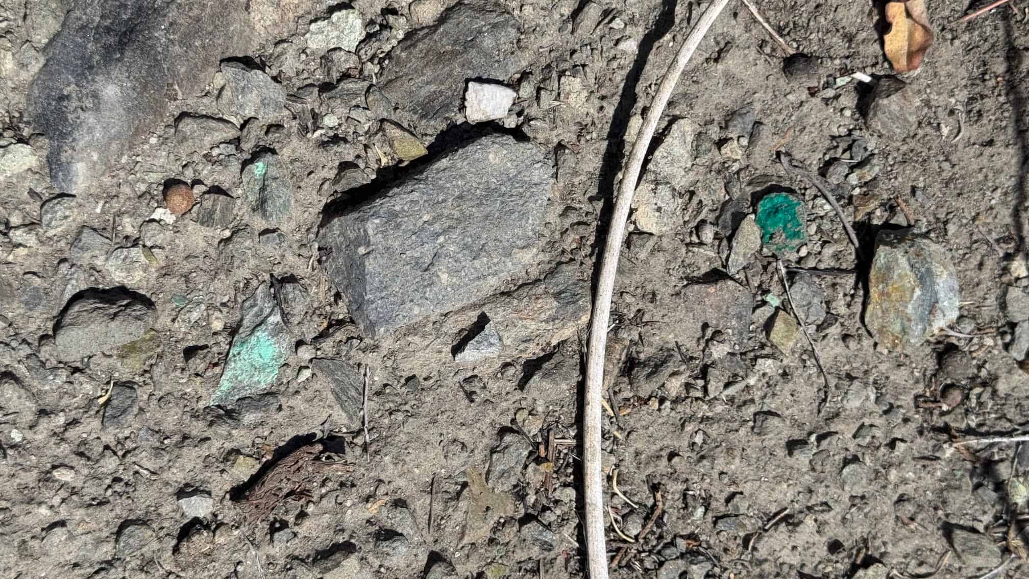 The Eureka Comstock Placer — site photograph unnamed-20