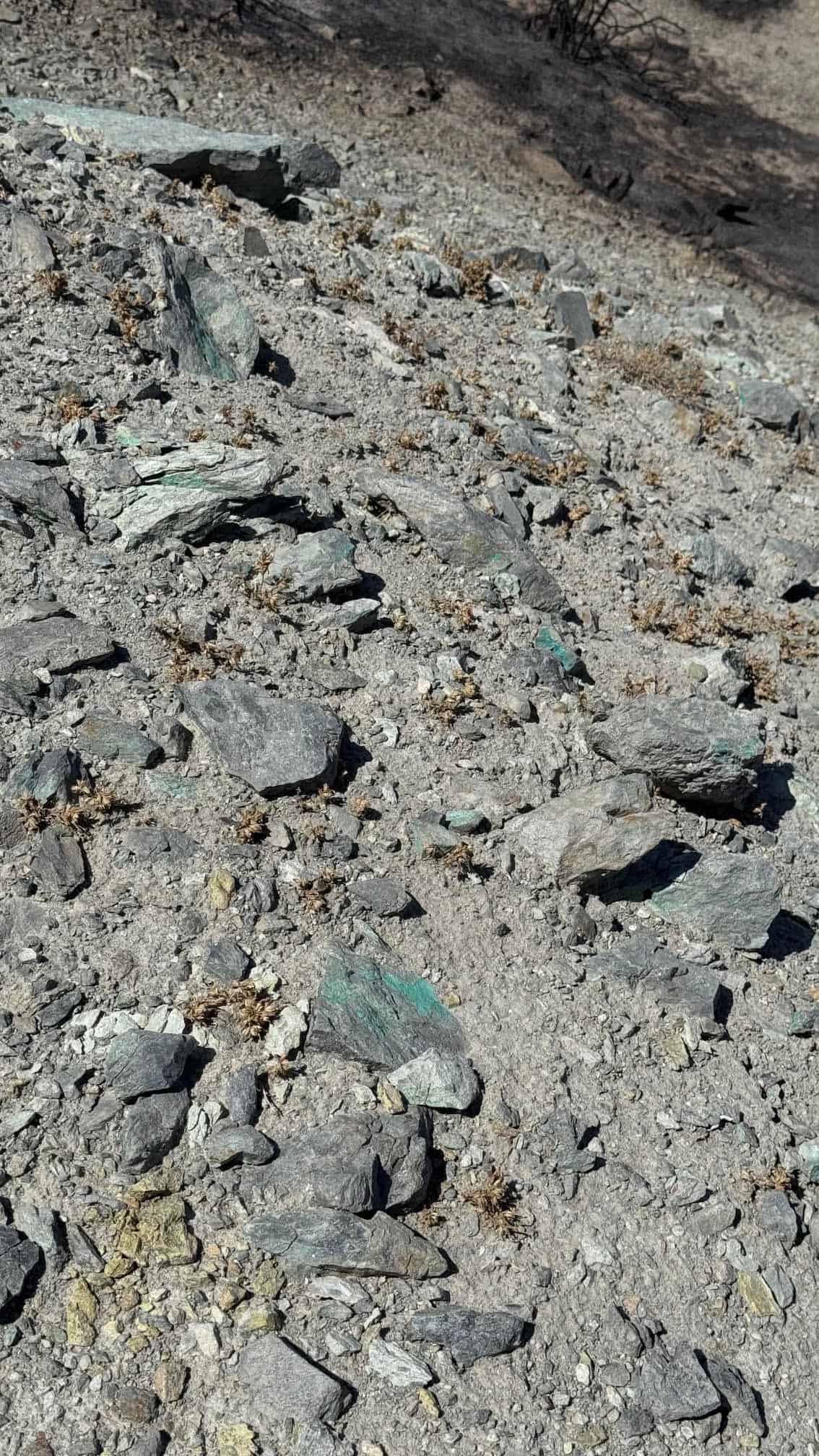 The Eureka Comstock Placer — site photograph unnamed-21