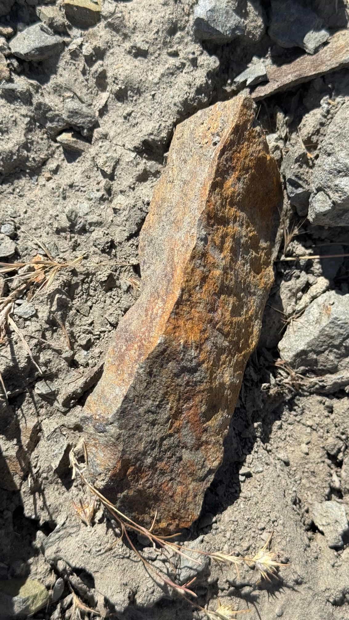 The Eureka Comstock Placer — site photograph unnamed-25