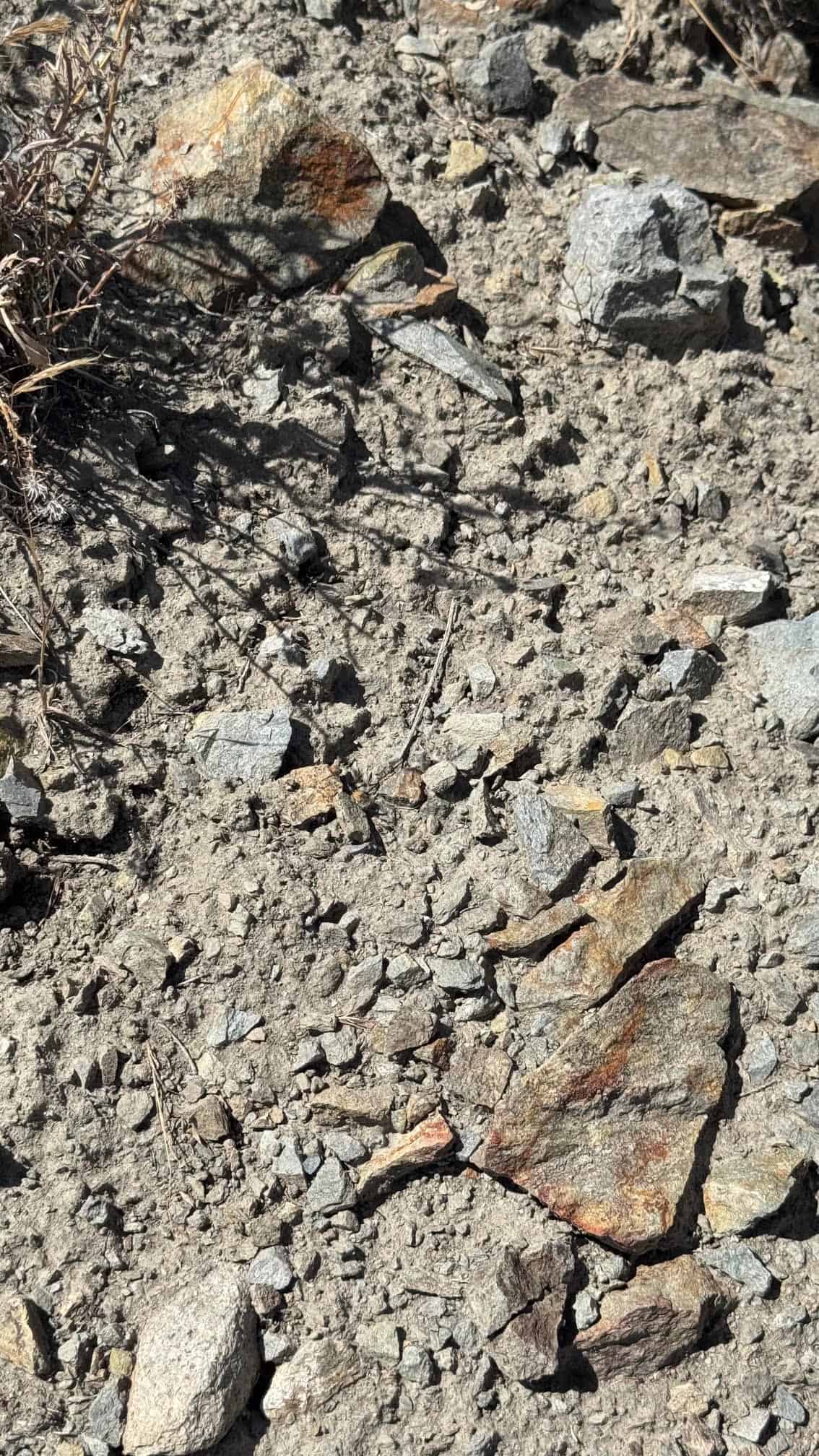 The Eureka Comstock Placer — site photograph unnamed-26