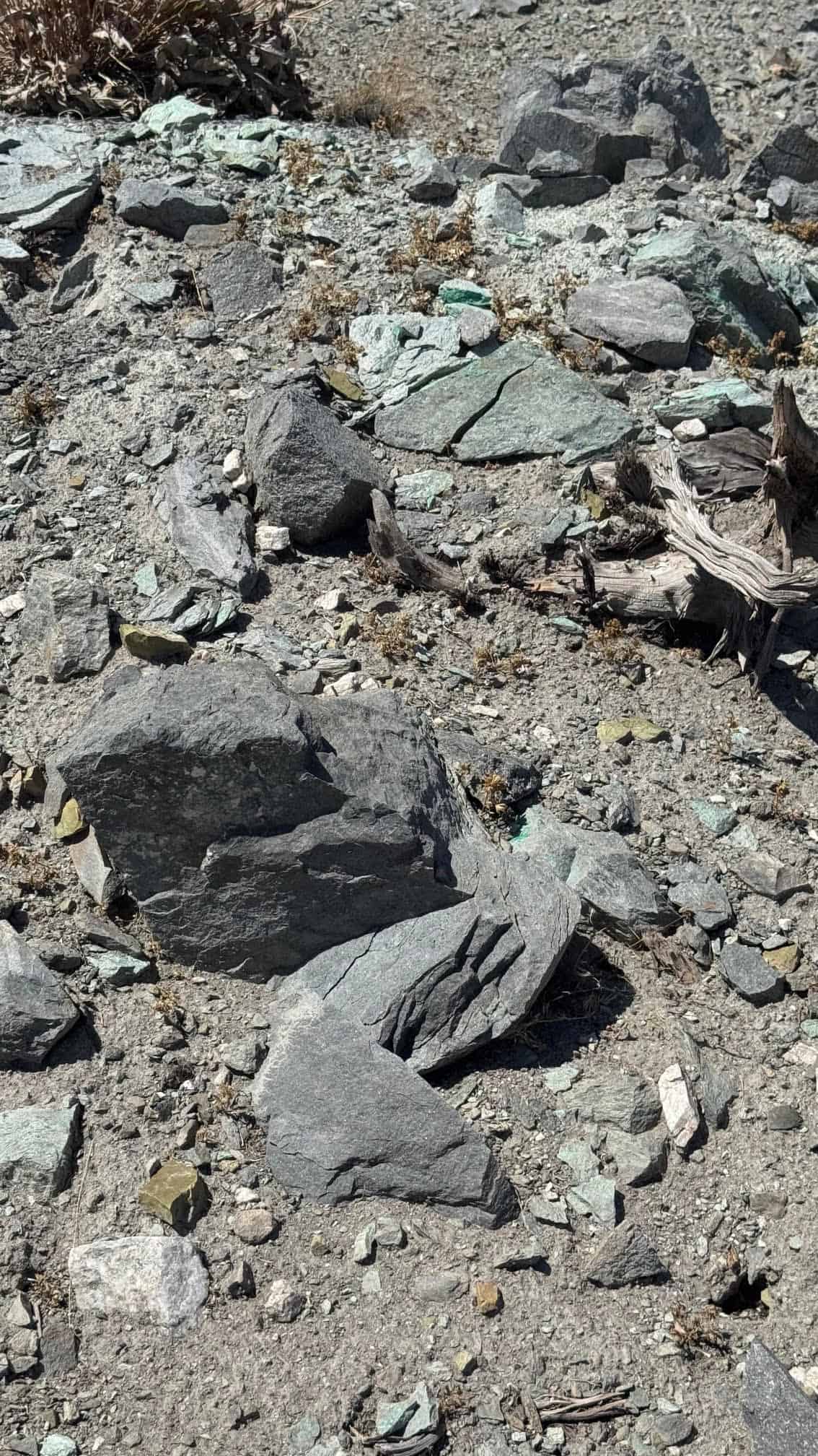 The Eureka Comstock Placer — site photograph unnamed-27