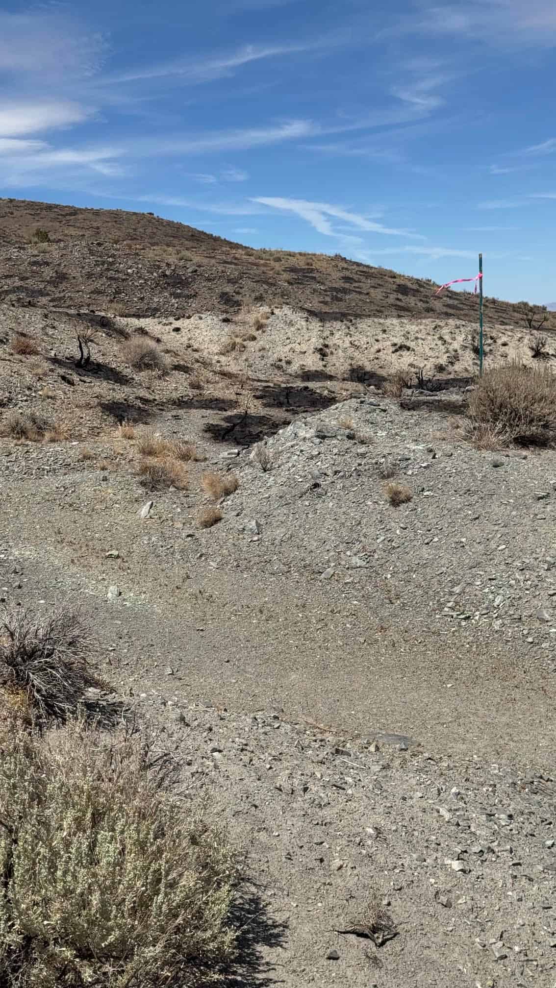The Eureka Comstock Placer — site photograph unnamed-28