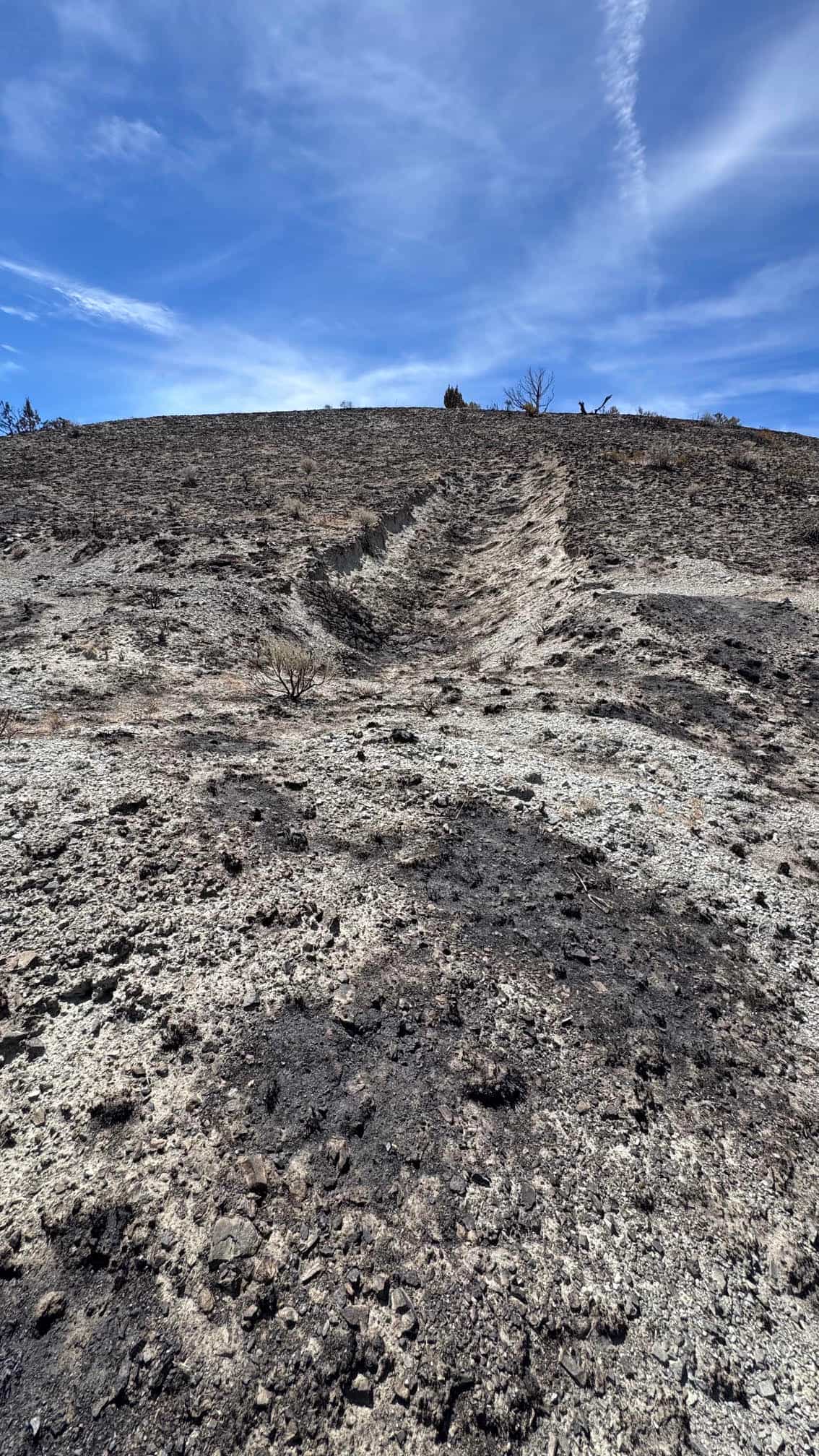 The Eureka Comstock Placer — site photograph unnamed-3