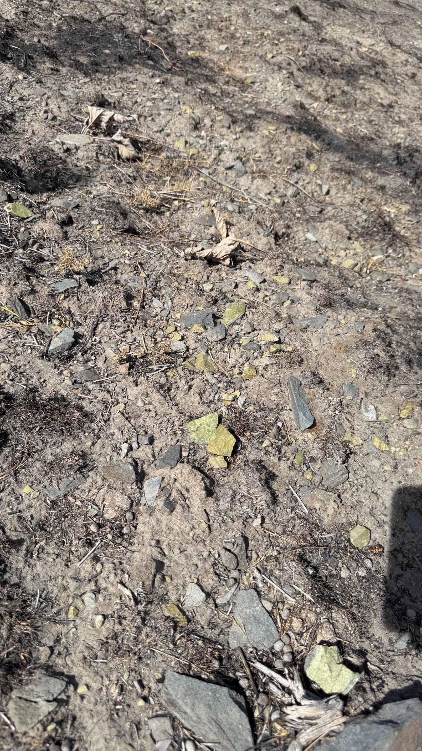The Eureka Comstock Placer — site photograph unnamed-32