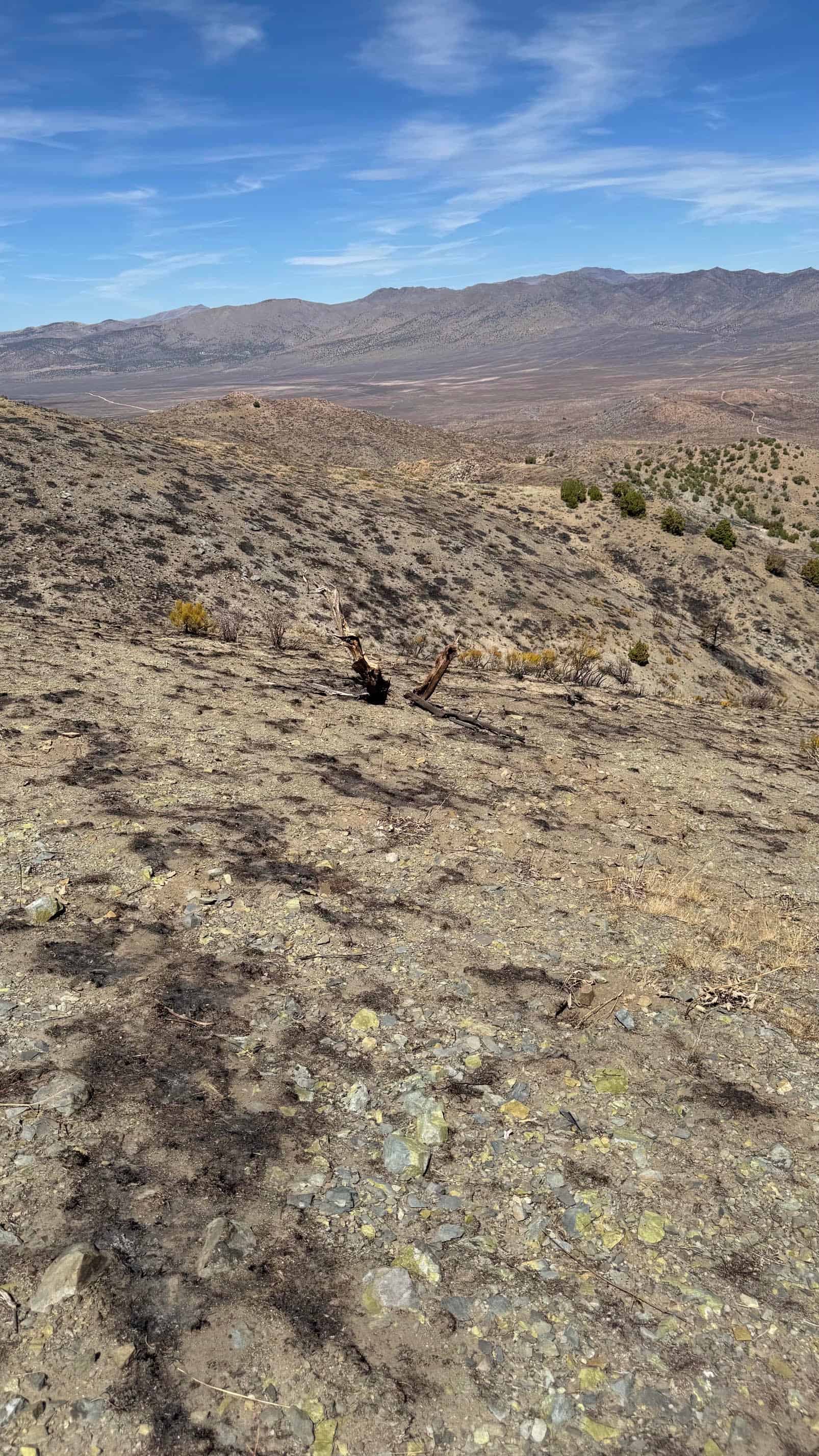The Eureka Comstock Placer — site photograph unnamed-33