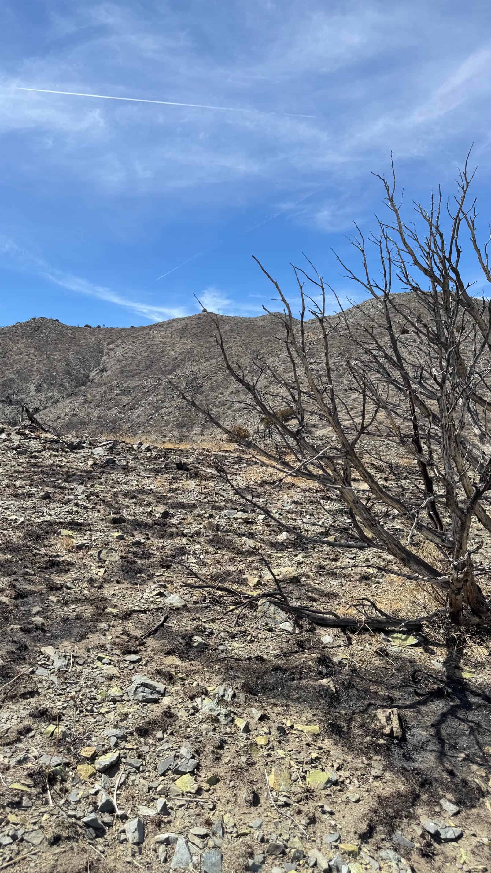 The Eureka Comstock Placer — site photograph unnamed-34