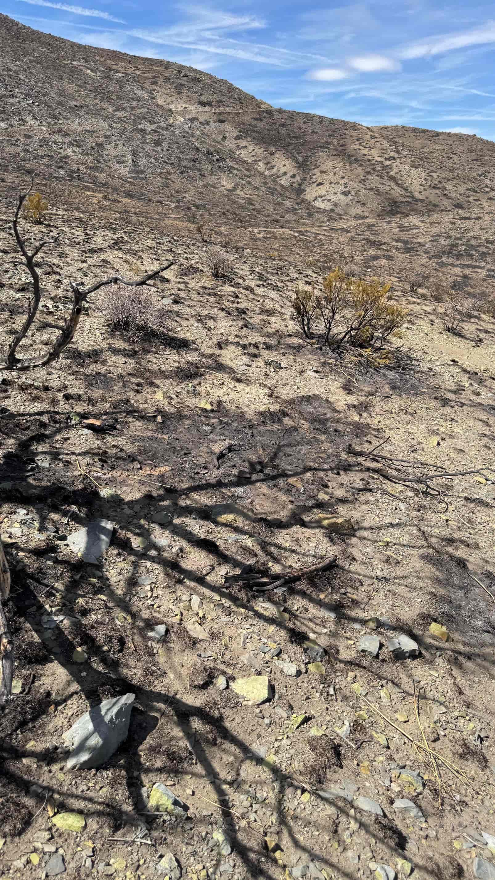 The Eureka Comstock Placer — site photograph unnamed-36
