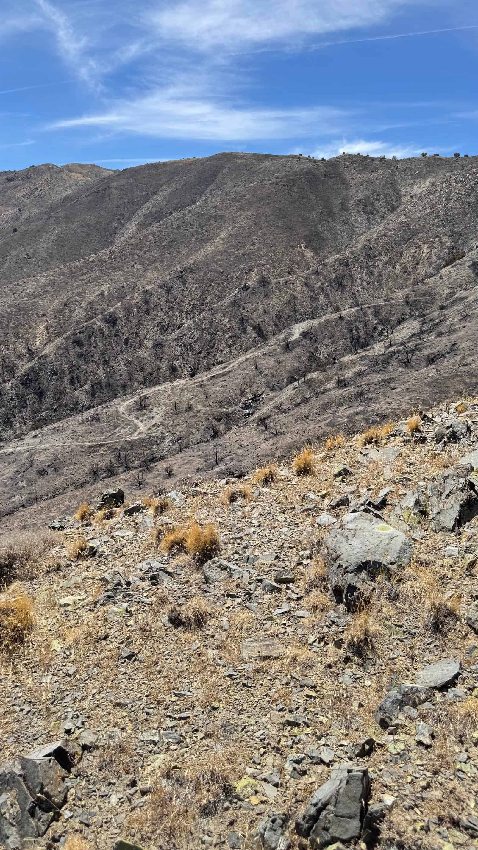 The Eureka Comstock Placer — site photograph unnamed-38