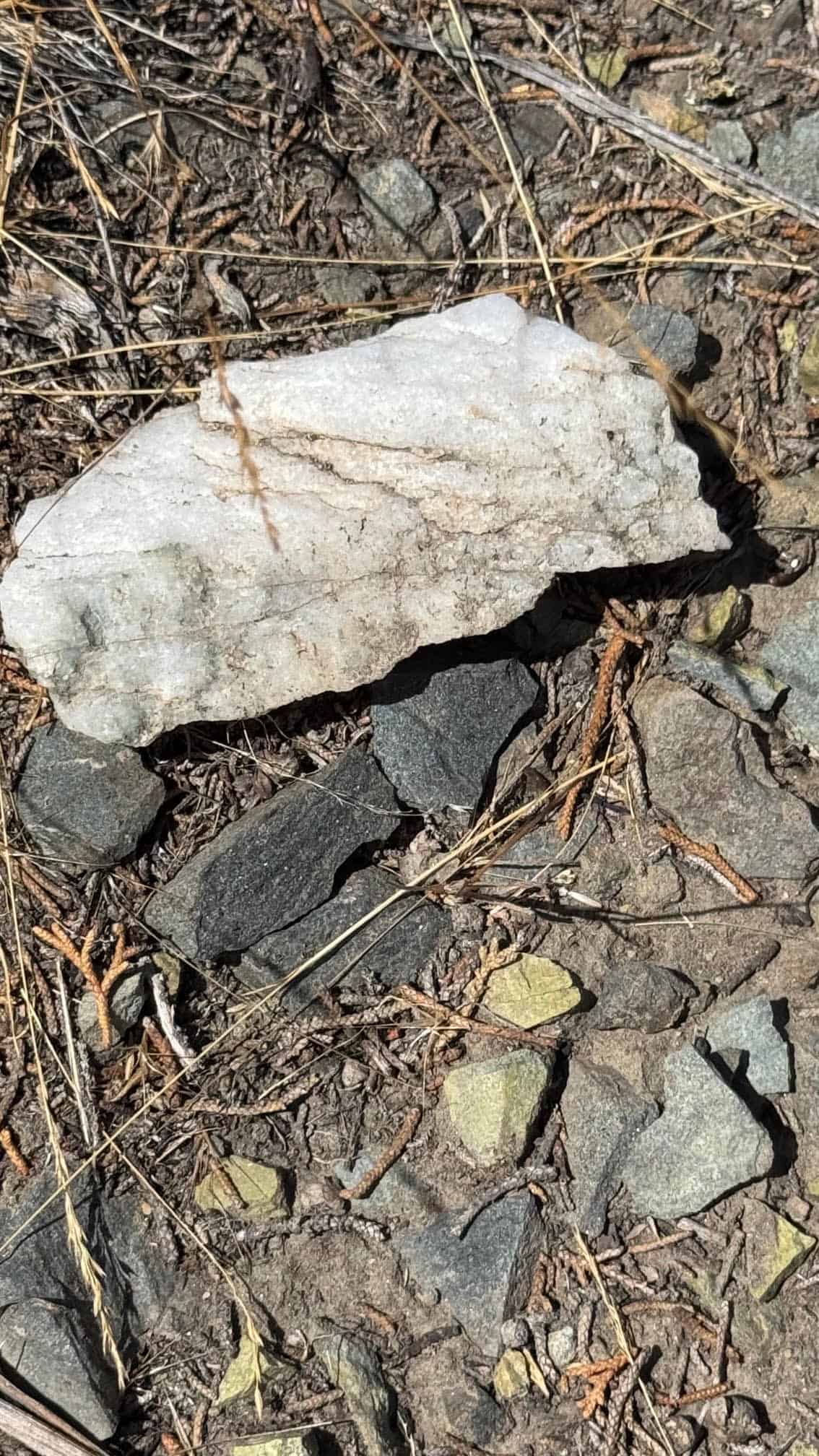The Eureka Comstock Placer — site photograph unnamed-39