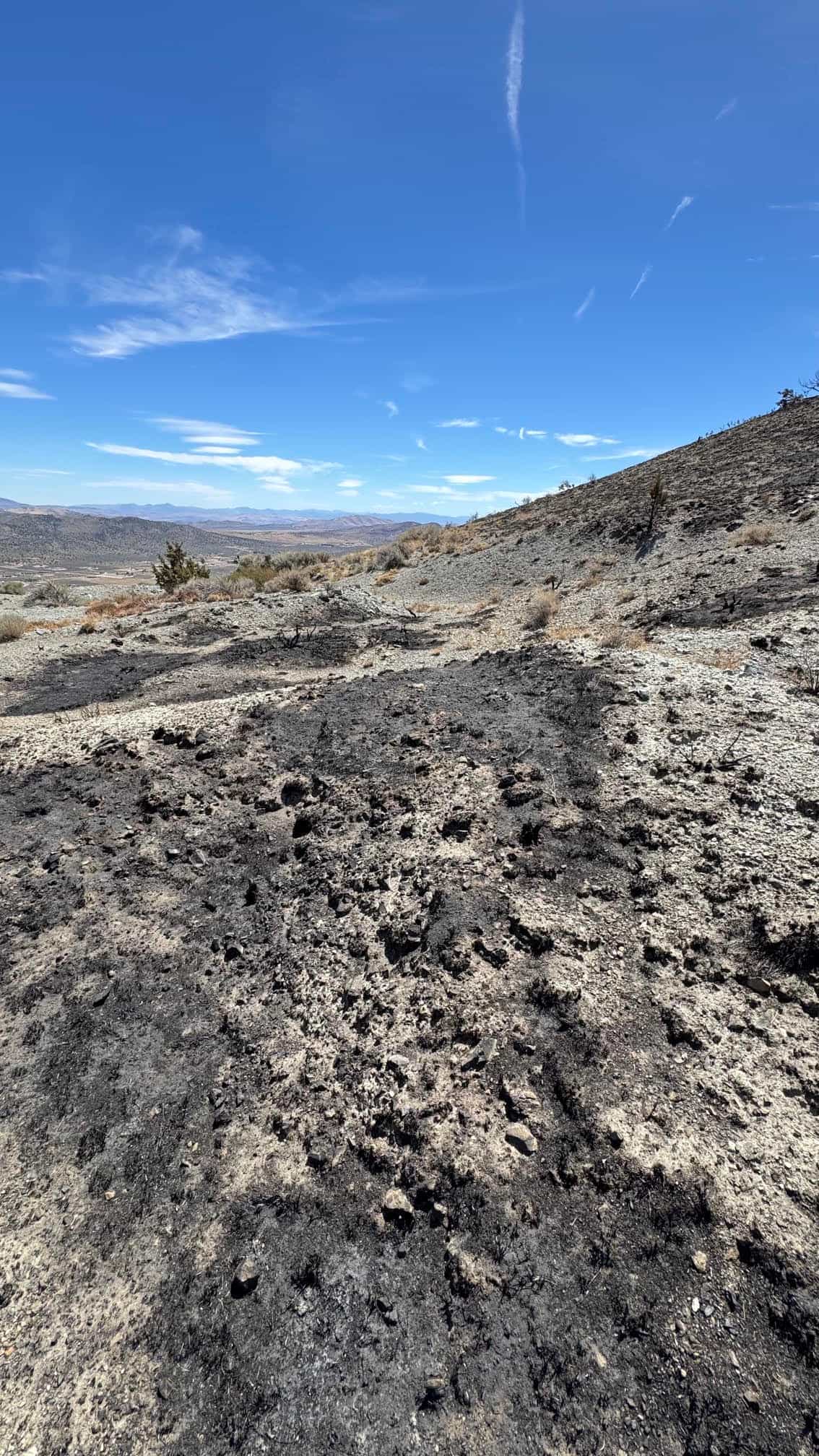 The Eureka Comstock Placer — site photograph unnamed-4