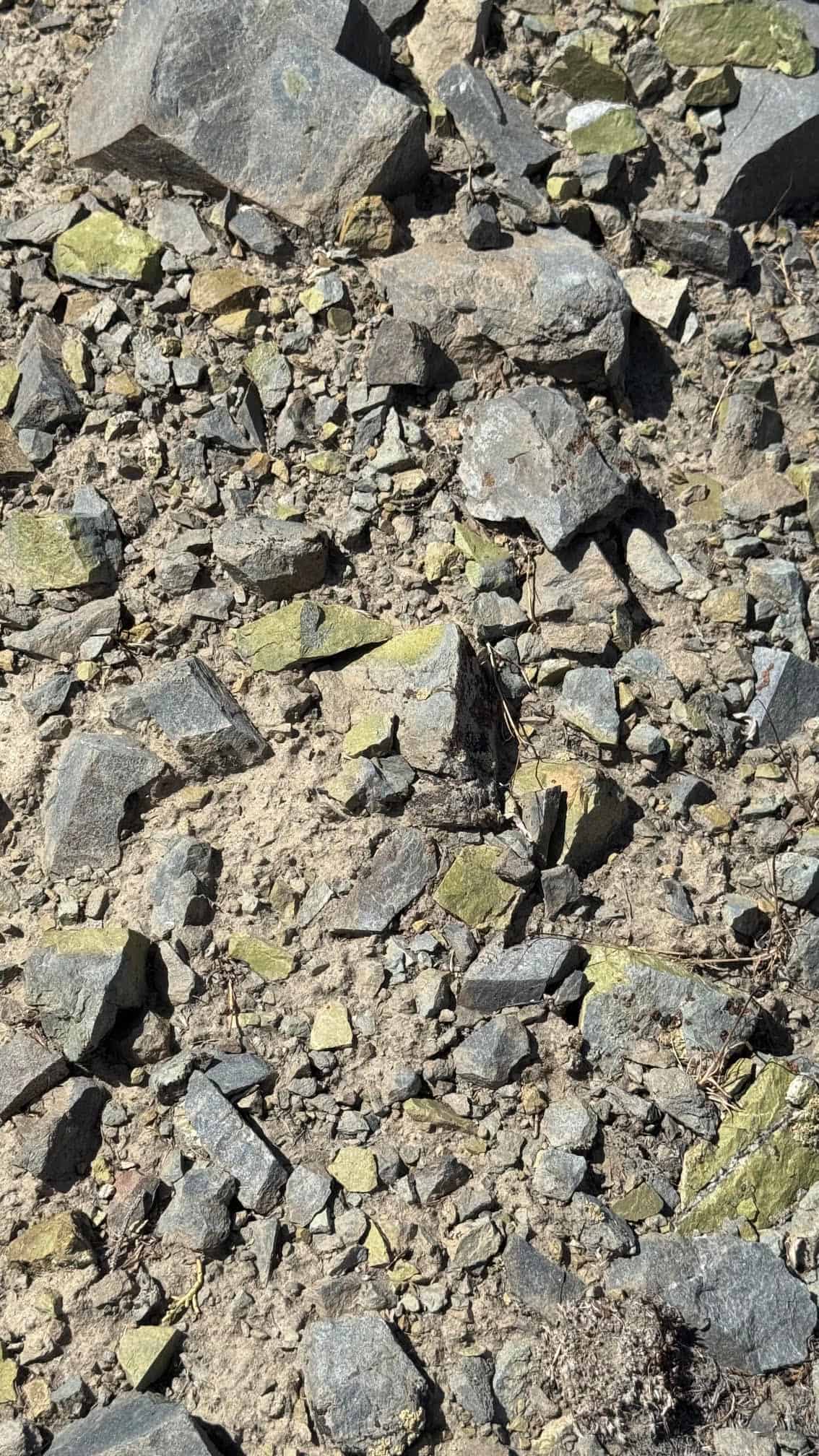 The Eureka Comstock Placer — site photograph unnamed-42