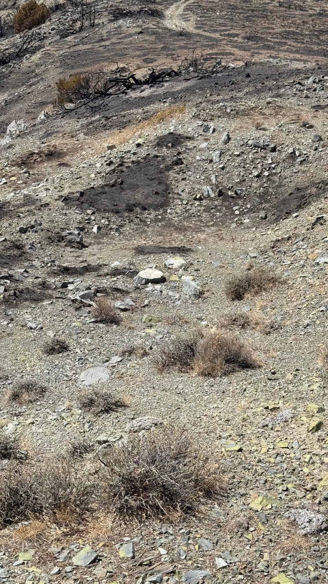 The Eureka Comstock Placer — site photograph unnamed-43