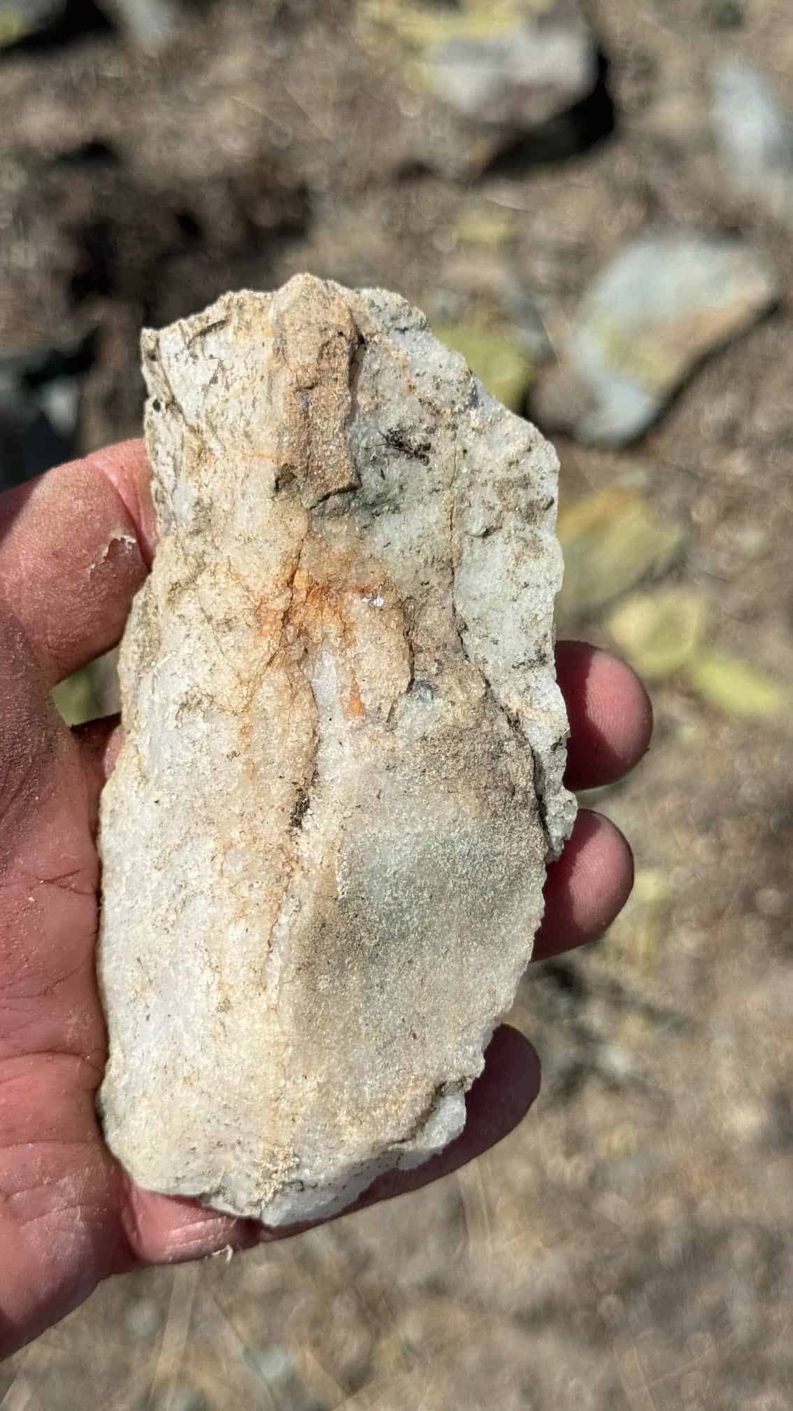 The Eureka Comstock Placer — site photograph unnamed-44