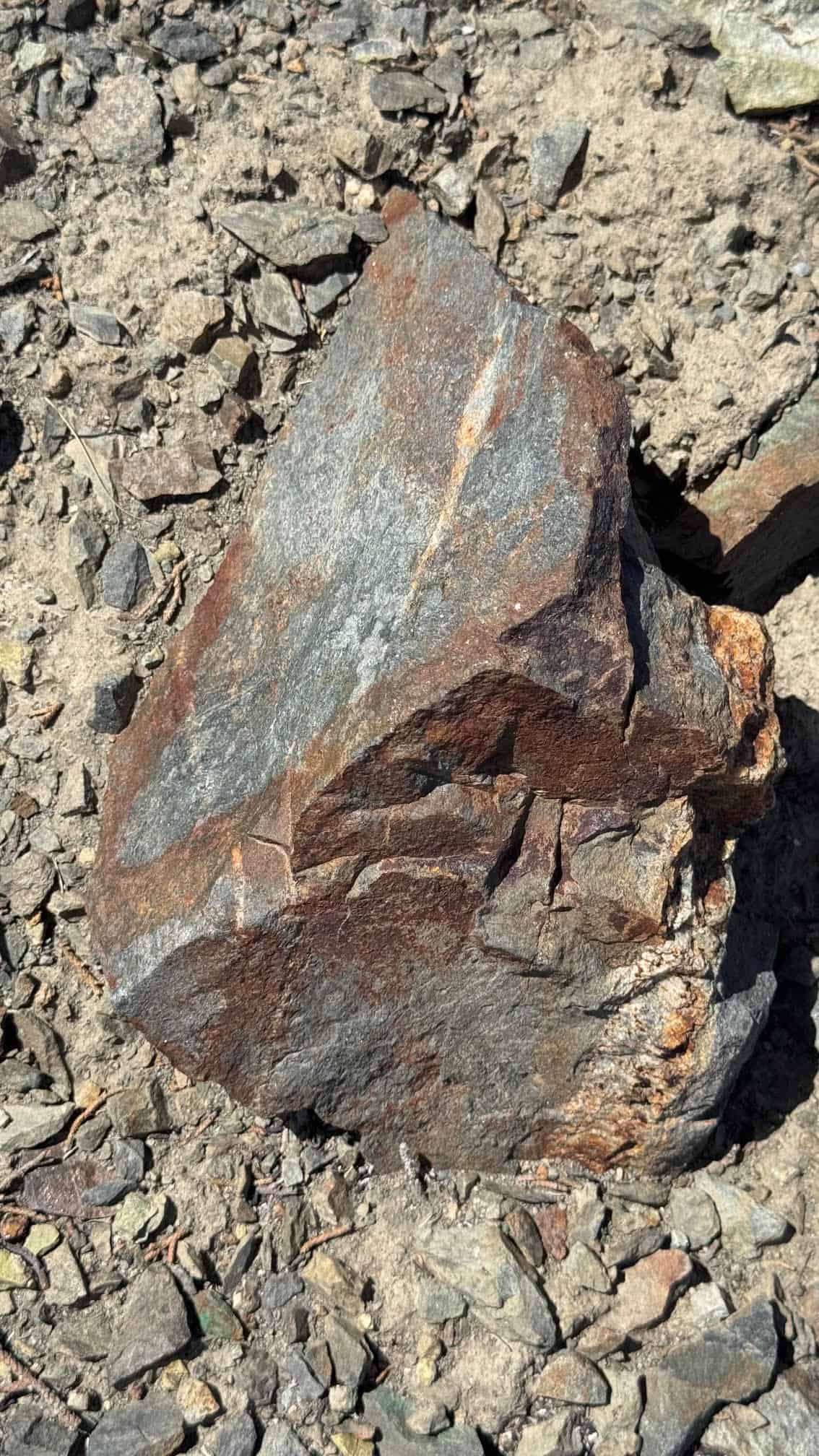 The Eureka Comstock Placer — site photograph unnamed-46