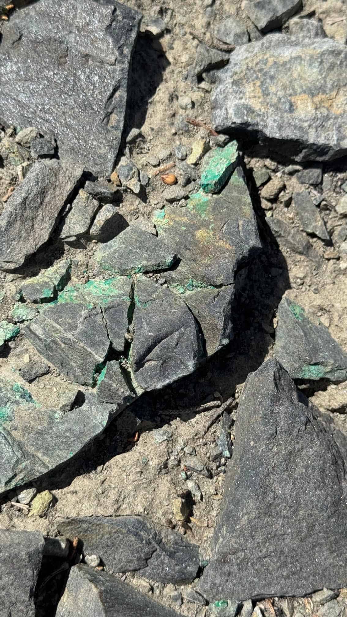 The Eureka Comstock Placer — the historic workings on the east flank of Freds Mountain, Washoe County, Nevada