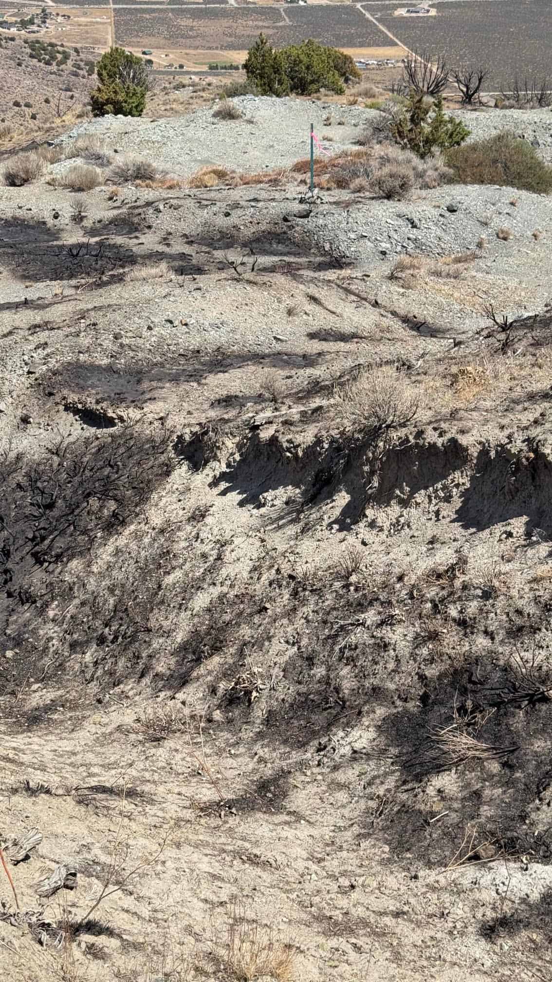 The Eureka Comstock Placer — site photograph unnamed-50