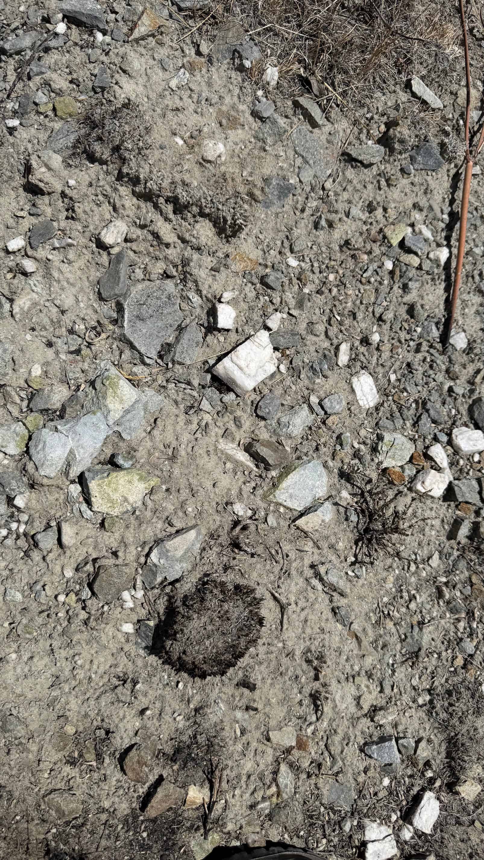 The Eureka Comstock Placer — site photograph unnamed-60
