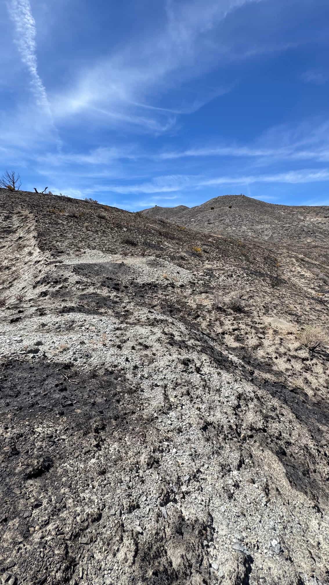The Eureka Comstock Placer — site photograph unnamed-9