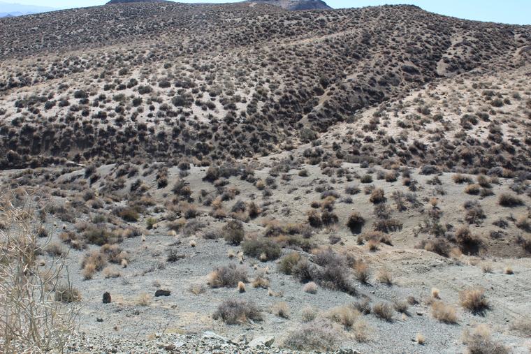 Sagebrush ridges and draws typical of the claim block