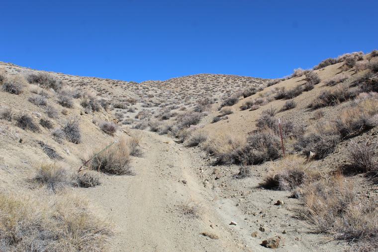 Access road climbing a draw onto the block, with a claim post at the edge of frame