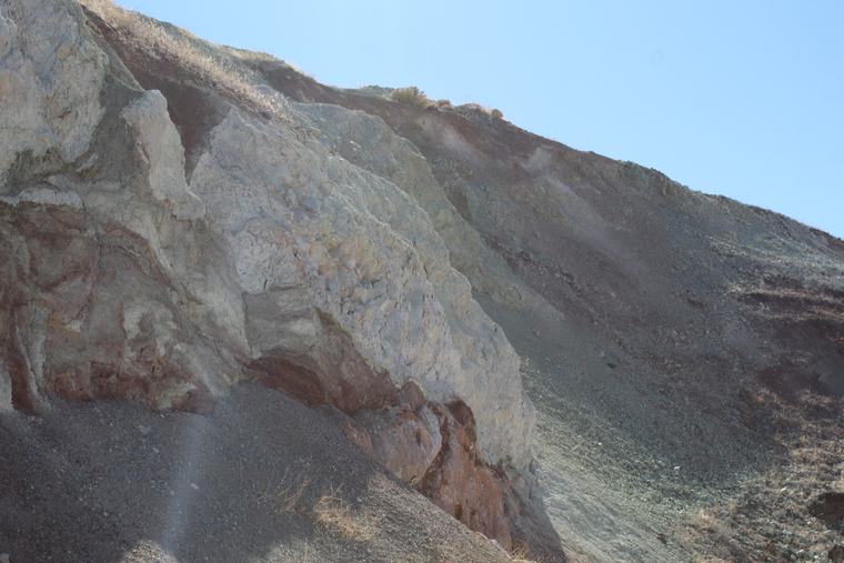 Pale altered horizon in a road cut, dipping beneath darker country rock